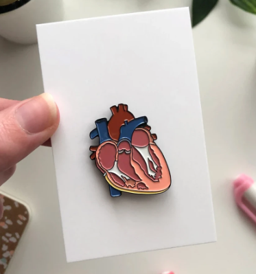Heart organ enamel pin in blue, pink, red, and white | 2.3 cm x 3.3 cm