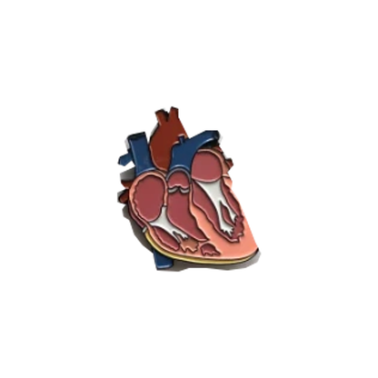 Original anatomical heart enamel pin isolated on white; blue, pink, red and white details