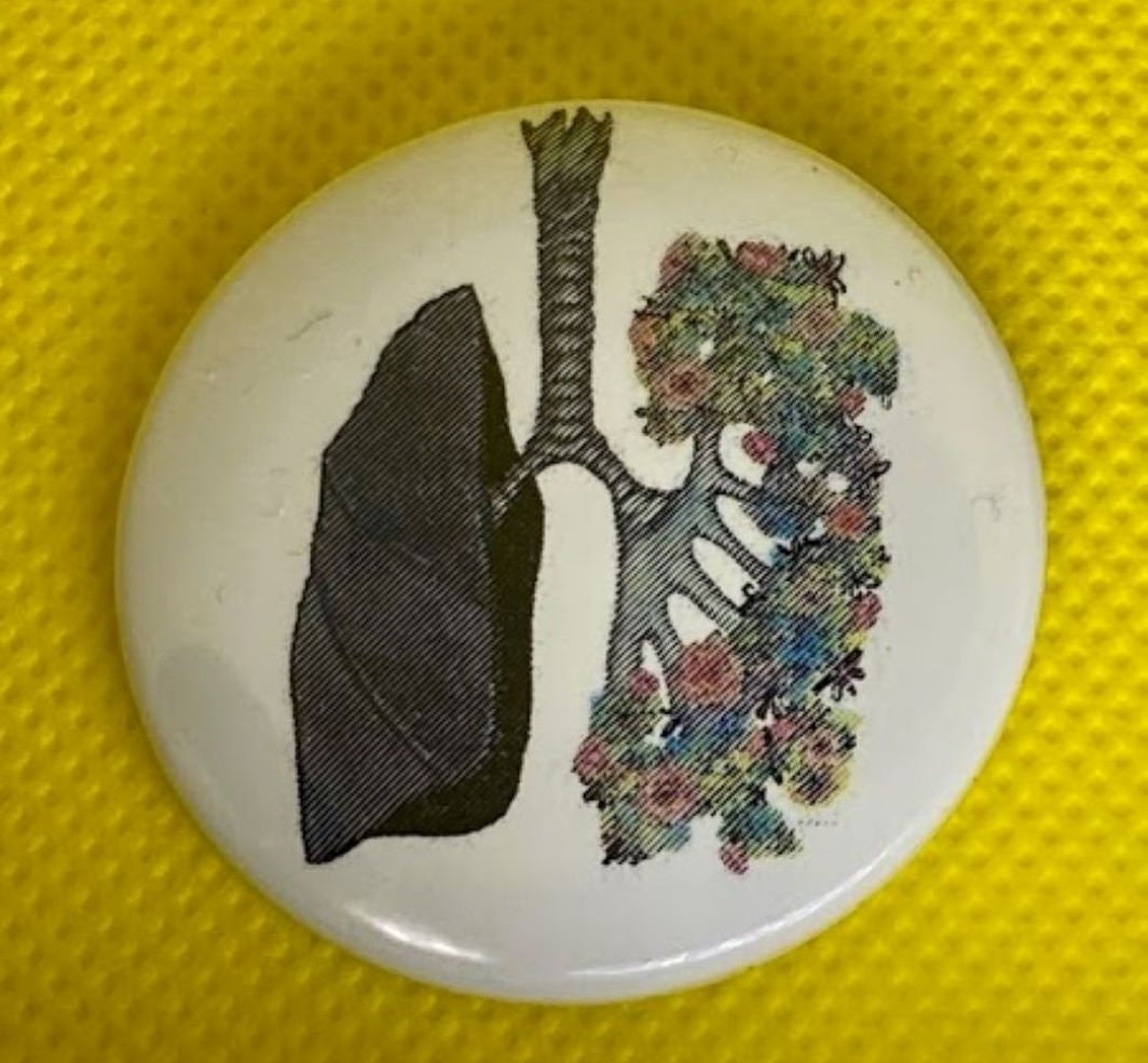Growing Parts Collection, Heart, Lung, Spine, Pelvis, Nurse Badge Button