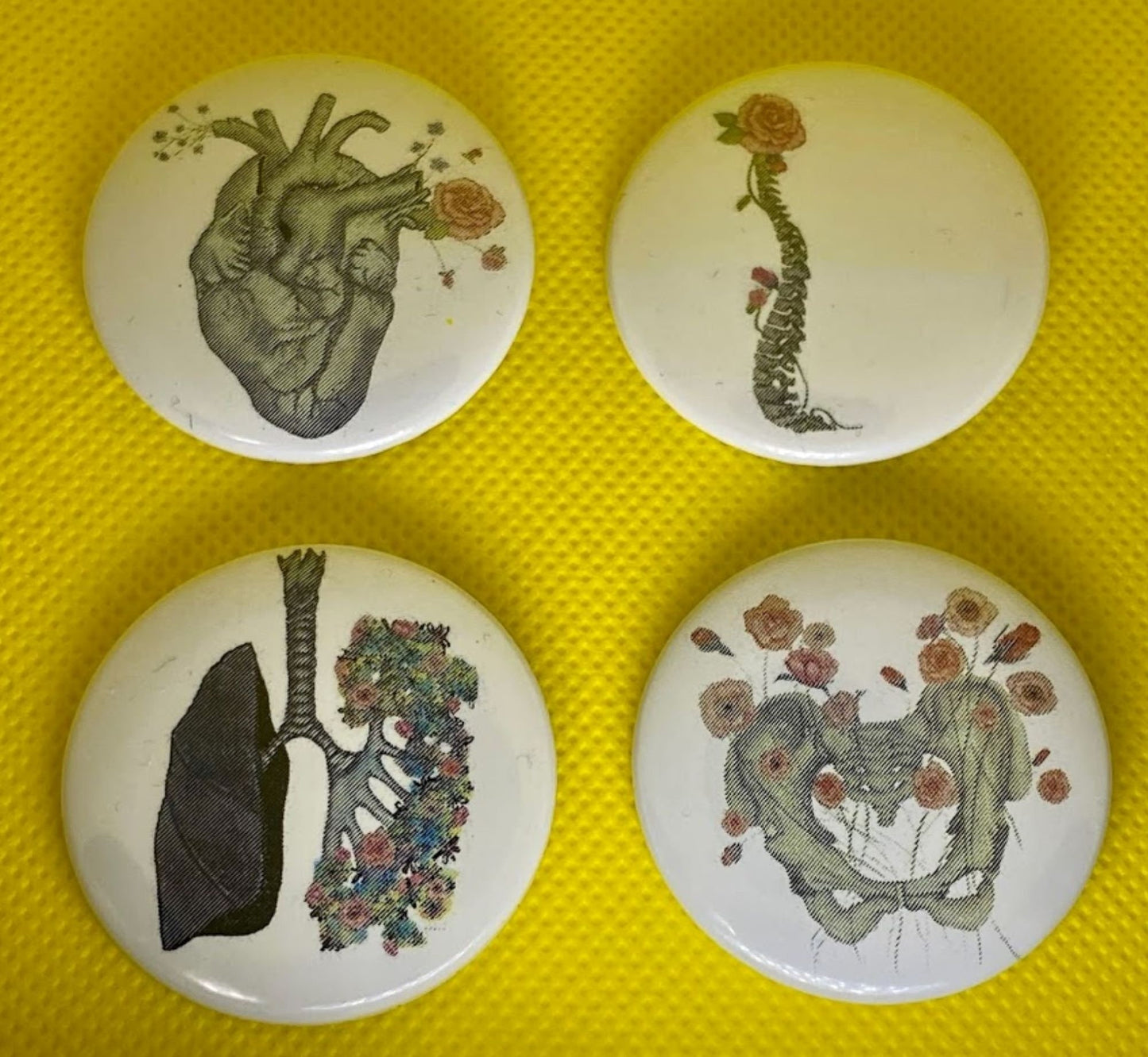 Growing Parts Collection, Heart, Lung, Spine, Pelvis, Nurse Badge Button